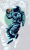 roadmap-sect.png